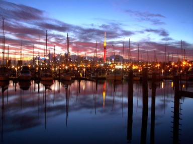  City of masts, waiting to be taken out for a sail